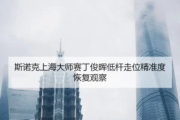 si-nuo-ke-shang-hai-da-shi-sai-ding-jun-hui-di-gan-zou-wei-jing-zhun-du-hui-fu-guan-cha-2-659.jpg