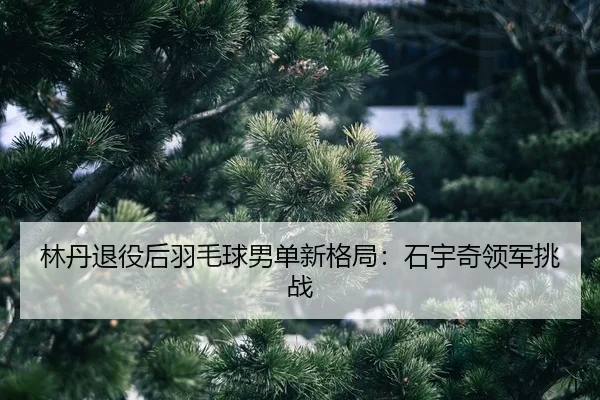 lin-dan-tui-yi-hou-yu-mao-qiu-nan-dan-xin-ge-ju-shi-yu-qi-ling-jun-tiao-zhan-2-539.jpg