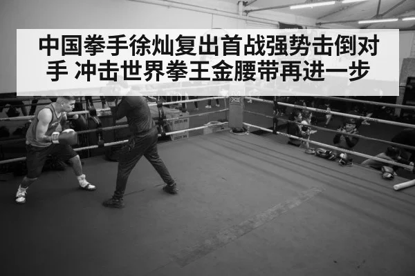boxer training gym