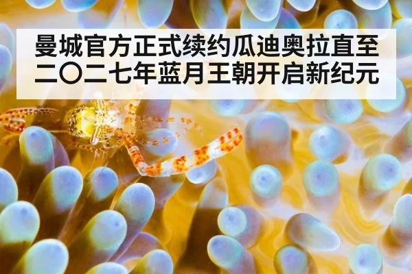 曼城官方正式续约瓜迪奥拉直至二〇二七年蓝月王朝开启新纪元